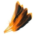 thumbnail image 1 of Uxcell 4-6 Inch Natural Feathers, 250 Pack Bulk Feathers for Crafts Carnival Handwork Clothing, Orange, 1 of 5