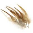 thumbnail image 1 of Uxcell 5-6 Inch Rooster Feathers, 100 Pack Bulk Natural Feathers for Crafts Style 2, Light Brown, 1 of 5