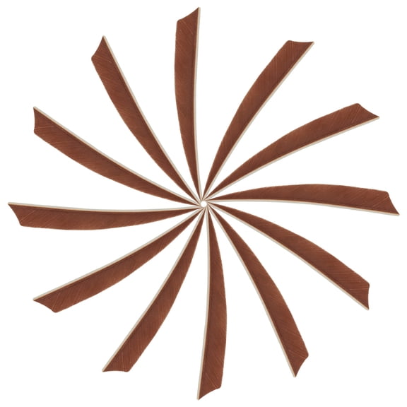 Uxcell 5 Inch Arrow Vanes Turkey Archery Arrows Feather Fletching Left Wing Fit for Hunting Target Shooting Brown, 25Pcs