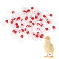 thumbnail image 1 of Uxcell 50-Pack Adjustable Chick Leg Bands, 0.79" x 0.2" Silicone Chicken Leg Brace for Poultry/Duck/Chick [Red], 1 of 6