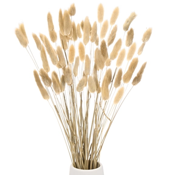 Uxcell 50-Pack Bunny Tails Grass 17 Inch Fluffy Rabbit Tail Grass Dried Flowers for Home/Wedding [Natural]