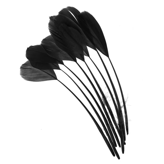 Uxcell 6-8 Inch Goose Feathers, 50 Pack Bulk Natural Feathers for Crafts Style 4, Black