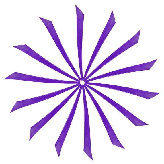 Arrow Vanes Turkey Archery Arrows Feathers Fletching, Left Wing Fit for Hunting Target Shooting Purple