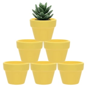 2 Inch Pots for Patio and Garden