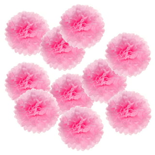 Rose Hot Pink Party Decorations - 23pcs Girl Birthday Baby Shower Tissue Pom Poms Streamers, Bachelorette Bridal Wedding Engagement Supplies Tassel
