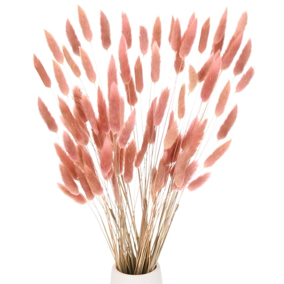 Uxcell 60-Pack Bunny Tails Grass 17 Inch Fluffy Rabbit Tail Grass Dried Flowers for Home/Wedding [Brown]
