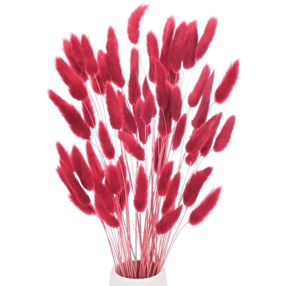 Uxcell 60-Pack Bunny Tails Grass 17 Inch Fluffy Rabbit Tail Grass Dried Flowers for Home/Wedding [Dark Red Brown]