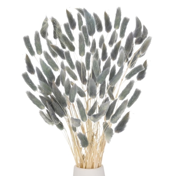 Uxcell 60-Pack Bunny Tails Grass 17 Inch Fluffy Rabbit Tail Grass Dried Flowers for Home/Wedding [Gray Blue]