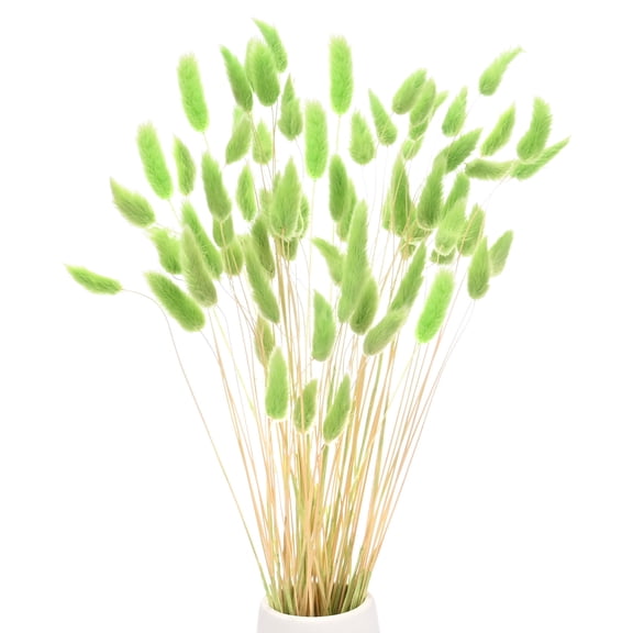 Uxcell 60-Pack Bunny Tails Grass 17 Inch Fluffy Rabbit Tail Grass Dried Flowers for Home/Wedding [Green]