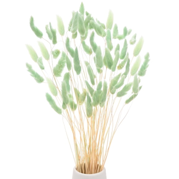 Uxcell 60-Pack Bunny Tails Grass 17 Inch Fluffy Rabbit Tail Grass Dried Flowers for Home/Wedding [Light Blue]
