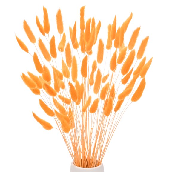 Uxcell 60-Pack Bunny Tails Grass 17 Inch Fluffy Rabbit Tail Grass Dried Flowers for Home/Wedding [Orange]