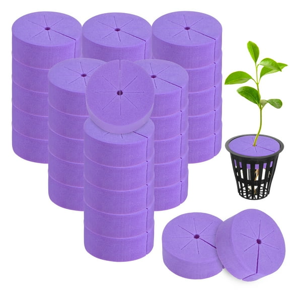 Uxcell 60-Pack Cloning Collars Inserts, Hydroponics Sponge Systems Cloning DIY Foam Cloner Inserts Fits 2" Net Pots[Purple]