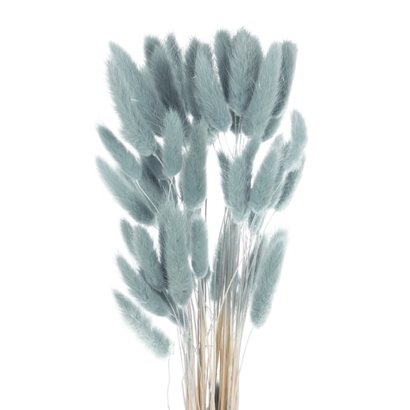 60pcs Natural Rabbit Bunny Tails Dried Flowers 16" Mini Pampas Grass Lagurus Ovatus Bunch for Floral Wedding Decor Christmas, Gray-blue