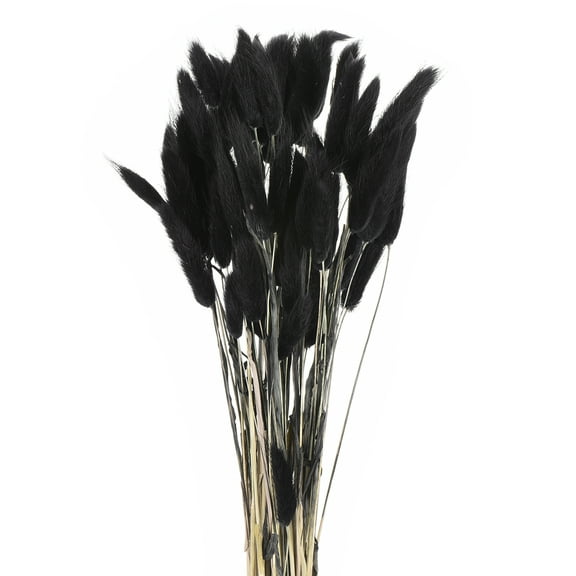 Uxcell 60pcs Natural Rabbit Bunny Tails Dried Flowers 17" Mini Pampas Grass Lagurus Ovatus Bunch for Floral Wedding Decor, Black