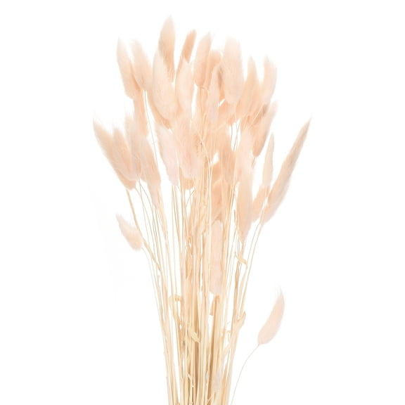 Uxcell 60pcs Natural Rabbit Bunny Tails Dried Flowers 17" Mini Pampas Grass Lagurus Ovatus Bunch for Floral Wedding Decor, Light Pink