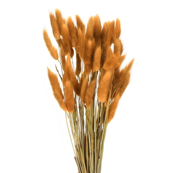 Uxcell 60pcs Natural Rabbit Bunny Tails Dried Flowers 17" Mini Pampas Grass Lagurus Ovatus Bunch for Floral Wedding Decor, Orange Red