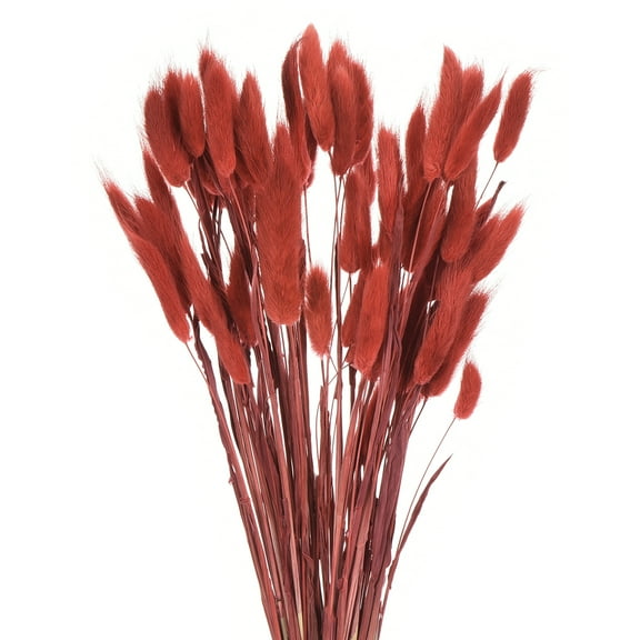Uxcell 60pcs Natural Rabbit Bunny Tails Dried Flowers 17" Mini Pampas Grass Lagurus Ovatus Bunch for Floral Wedding Decor, Red
