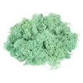 thumbnail image 1 of Uxcell 7.4oz Preserved Reindeer Moss Green Decorative Artificial Fake Moss, 1 of 6
