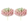 thumbnail image 1 of Uxcell Artificial Succulent Plants Unpotted Fake Succulents Simulation Plants Burgundy 2 Pack, 1 of 5