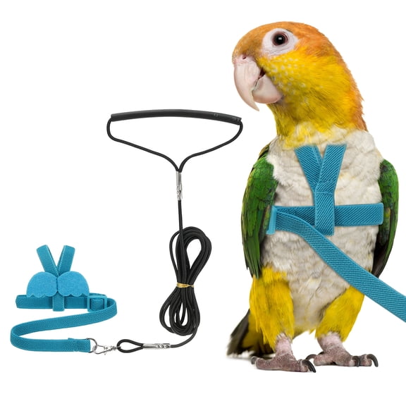 Uxcell Bird Harness Leash, Pet Parrot Bird Harness and Leash with Cute Wing for Parrots (Blue, L)