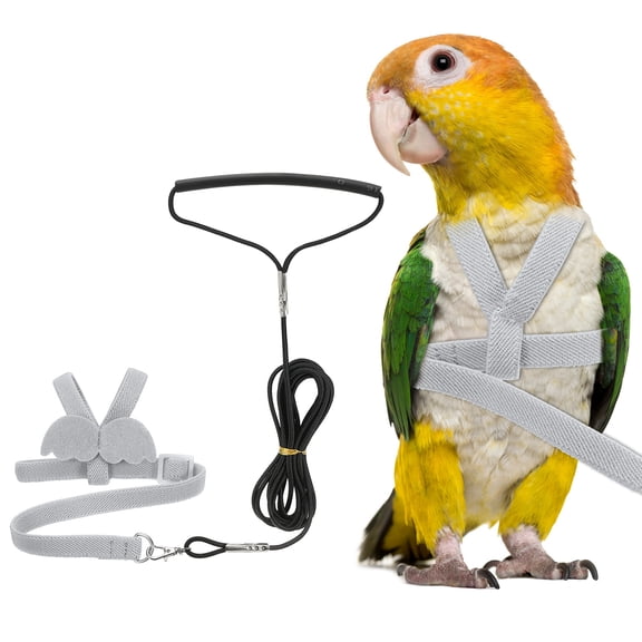 Uxcell Bird Harness Leash, Pet Parrot Bird Harness and Leash with Cute Wing for Parrots (Gray, M)