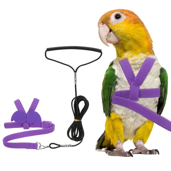 Uxcell Bird Harness Leash, Pet Parrot Bird Harness and Leash with Cute Wing for Parrots (Purple, L)