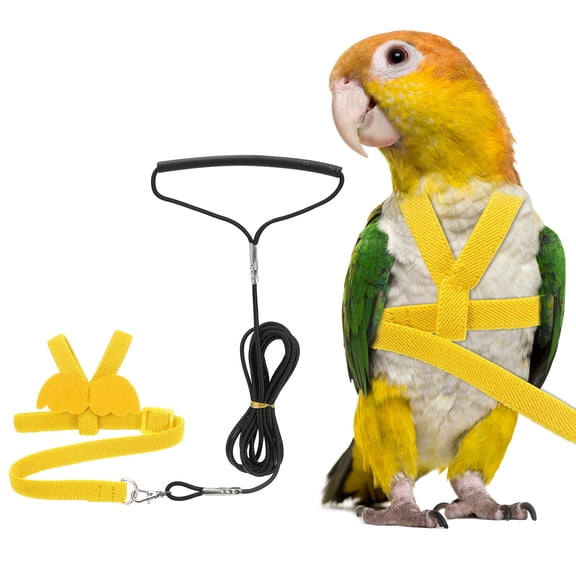 Uxcell Bird Harness Leash, Pet Parrot Bird Harness and Leash with Cute Wing for Parrots (Yellow, M)