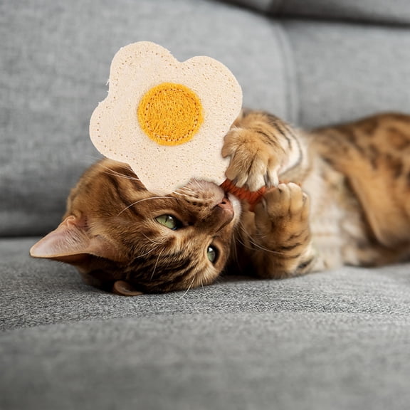 Uxcell Bite Resistant Catnip Playing, Durable and Interesting, Sunflower Shaped Cat Teeth Chew Playing Catnip Filled (Yellow White), Intended for Bedroom / Balcony / Living Room