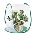 thumbnail image 1 of Uxcell Butterfly Habitat Cage Terrarium, Outdoor Collapsible Mesh 1014 [White With Green, 13 x 13 x 15 Inch], 1 of 7
