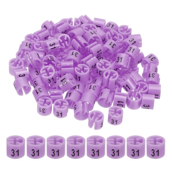 Clothes Hanger Markers Number 31 Tags Garment Size Tag Hanger Clips Round Color Coding Label, Purple Pink 100Pcs