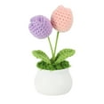 thumbnail image 1 of Uxcell Crochet Flowers Potted, Tulips Handmade Knitted Mini Potted Plants Artificial Flowers, Pink Purple, 1 of 6