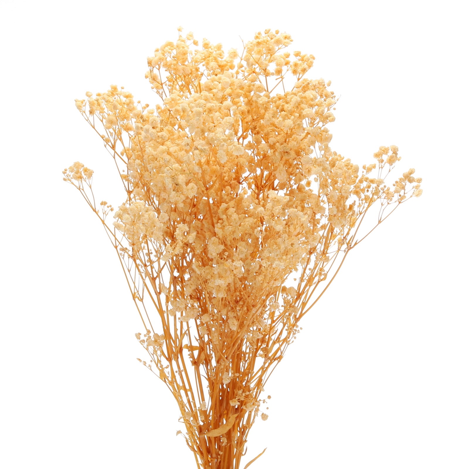 Uxcell Dried Baby's Breath Flower 17 Inch White Natural Baby's Breath Branches for Wedding Party Home Decoration 1Pcs