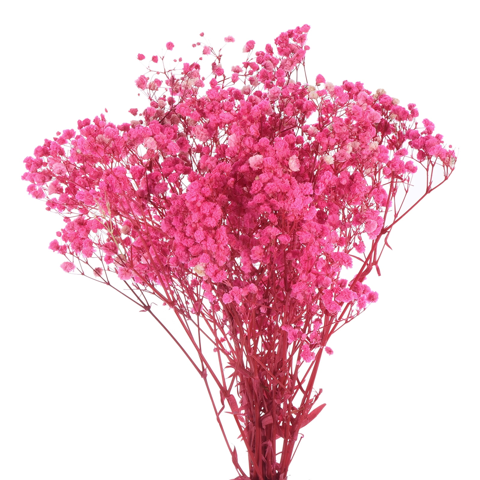 Uxcell Dried Baby's Breath Flowers 12 Inch Gypsophila Pink Natural Baby's Breath Branches for Wedding Party Home Decoration 2 Pcs