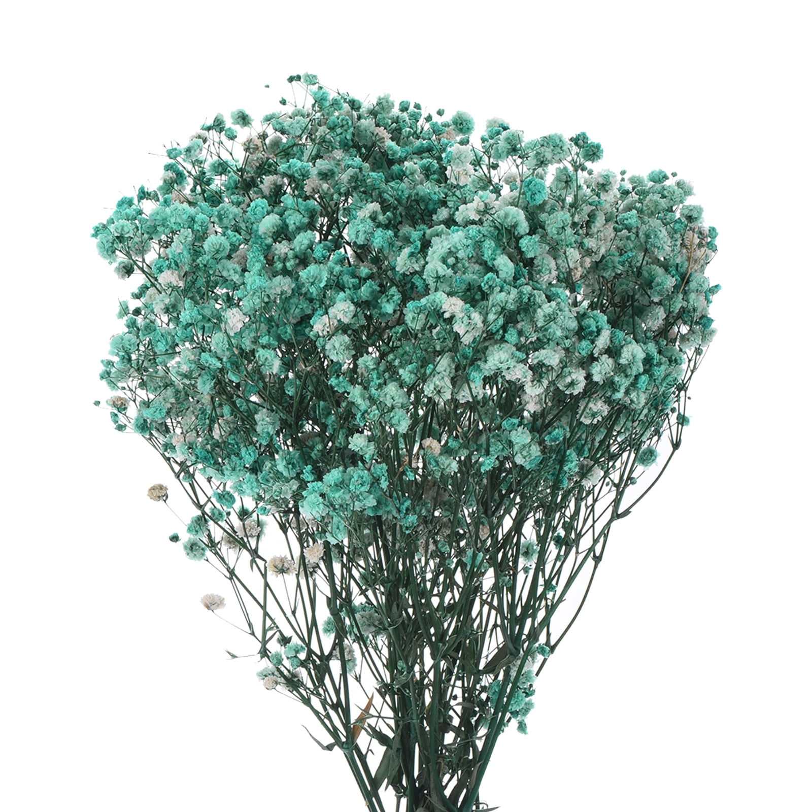 Uxcell Dried Baby's Breath Flowers 12 Inch Gypsophila Sky Blue Natural Baby's Breath Branches for Wedding Party Home Decoration 2 Pcs