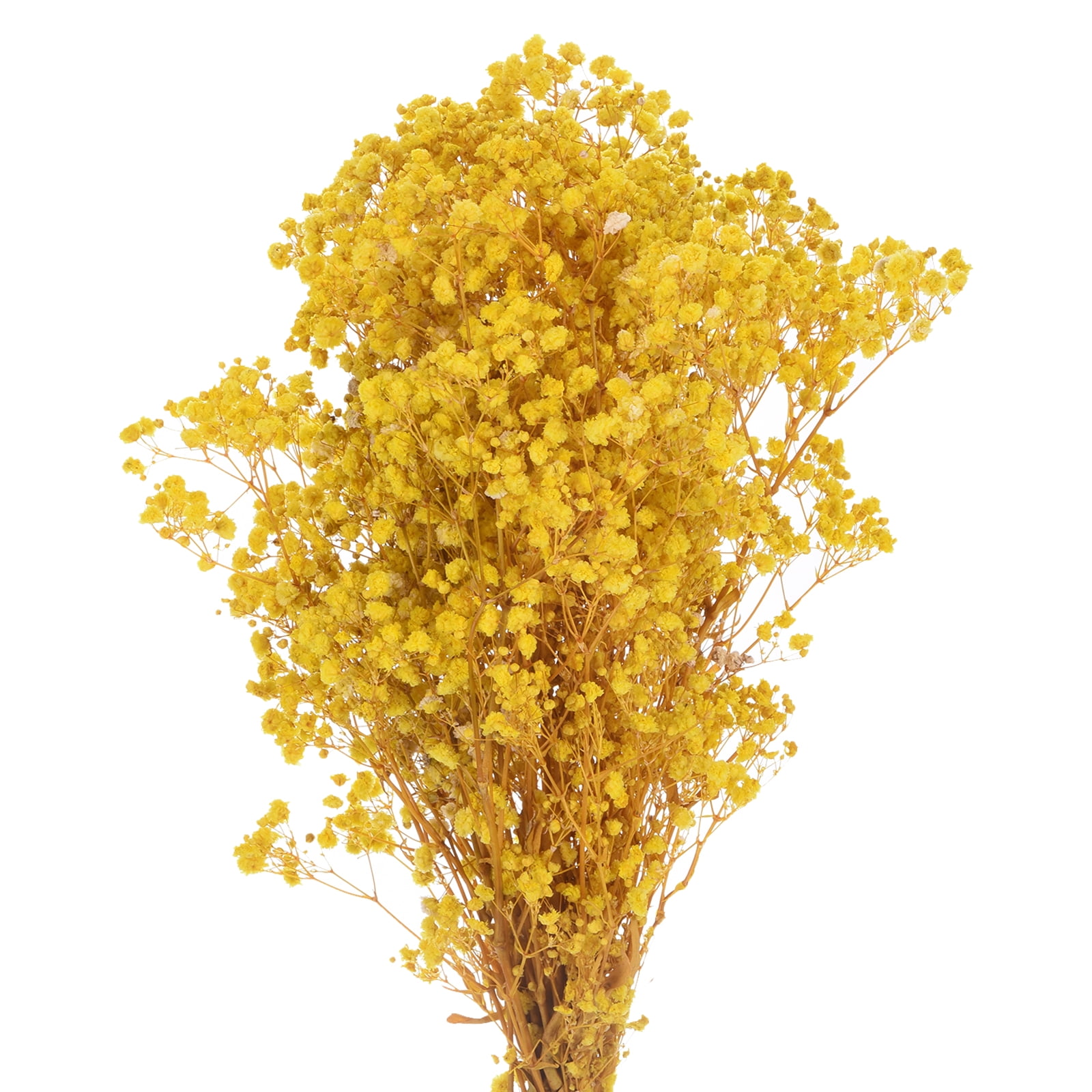 Uxcell Dried Baby's Breath Flowers 12 Inch Gypsophila Yellow Natural Baby's Breath Branches for Wedding Party Home Decoration 2 Pcs