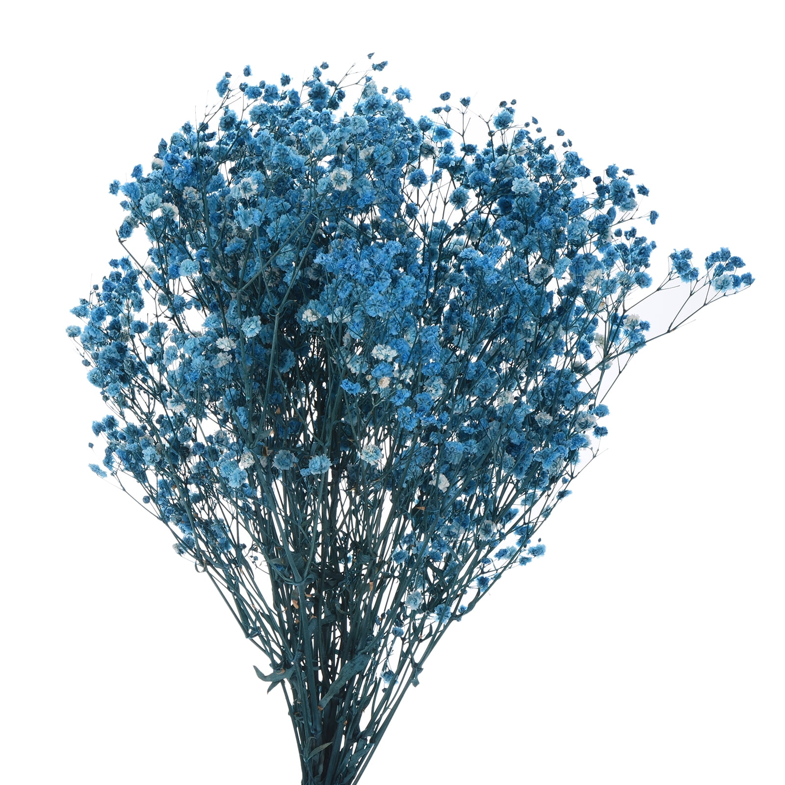 Uxcell Dried Baby's Breath Flowers 17 Inch Gypsophila Blue Natural Baby's Breath Branches for Wedding Party Home Decoration 3 Pcs