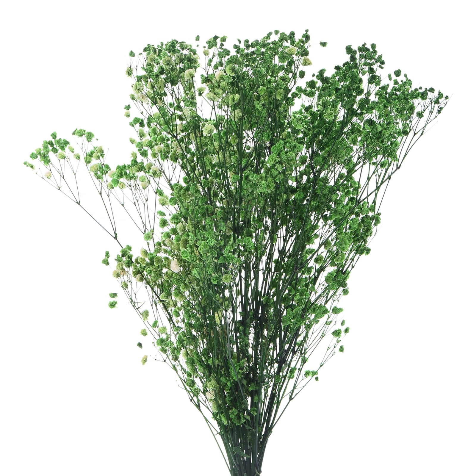 Uxcell Dried Baby's Breath Flowers 17 Inch Gypsophila Green Natural Baby's Breath Branches for Wedding Party Home Decoration 3 Pcs