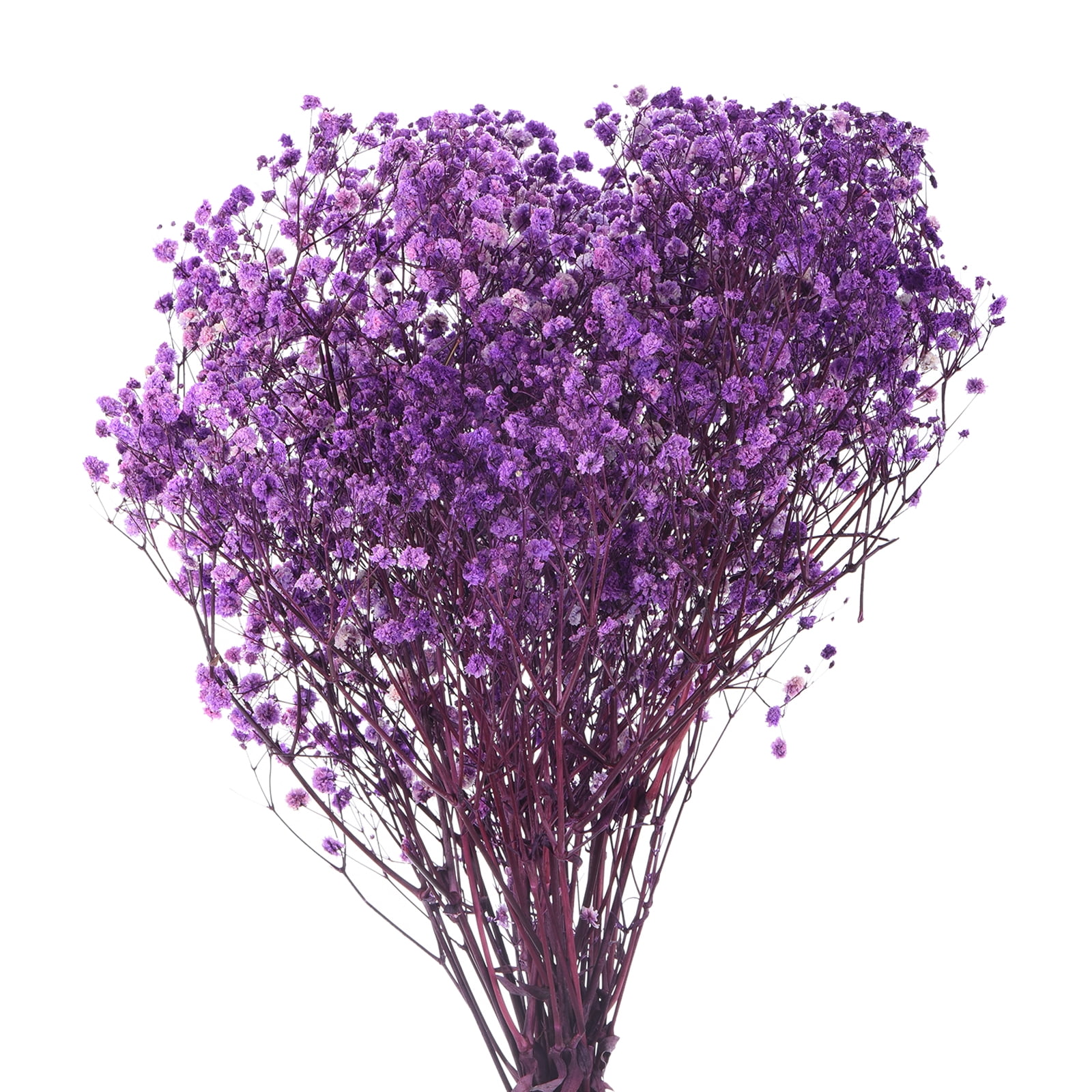 Uxcell Dried Baby's Breath Flowers 17 Inch Gypsophila Light Purple Natural Baby's Breath Branches for Wedding Party Home Decoration 3 Pcs