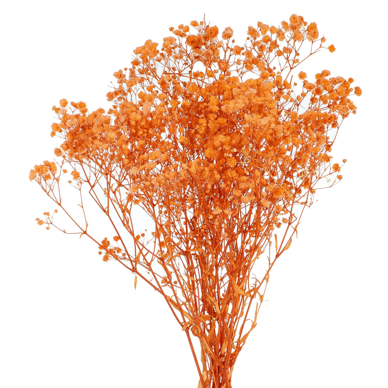 Uxcell Dried Baby's Breath Flowers 17 Inch Gypsophila Orange Natural Baby's Breath Branches for Wedding Party Home Decoration 3 Pcs