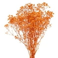 thumbnail image 1 of Uxcell Dried Baby's Breath Flowers 17 Inch Gypsophila Orange Natural Baby's Breath Branches for Wedding Party Home Decoration 3 Pcs, 1 of 6
