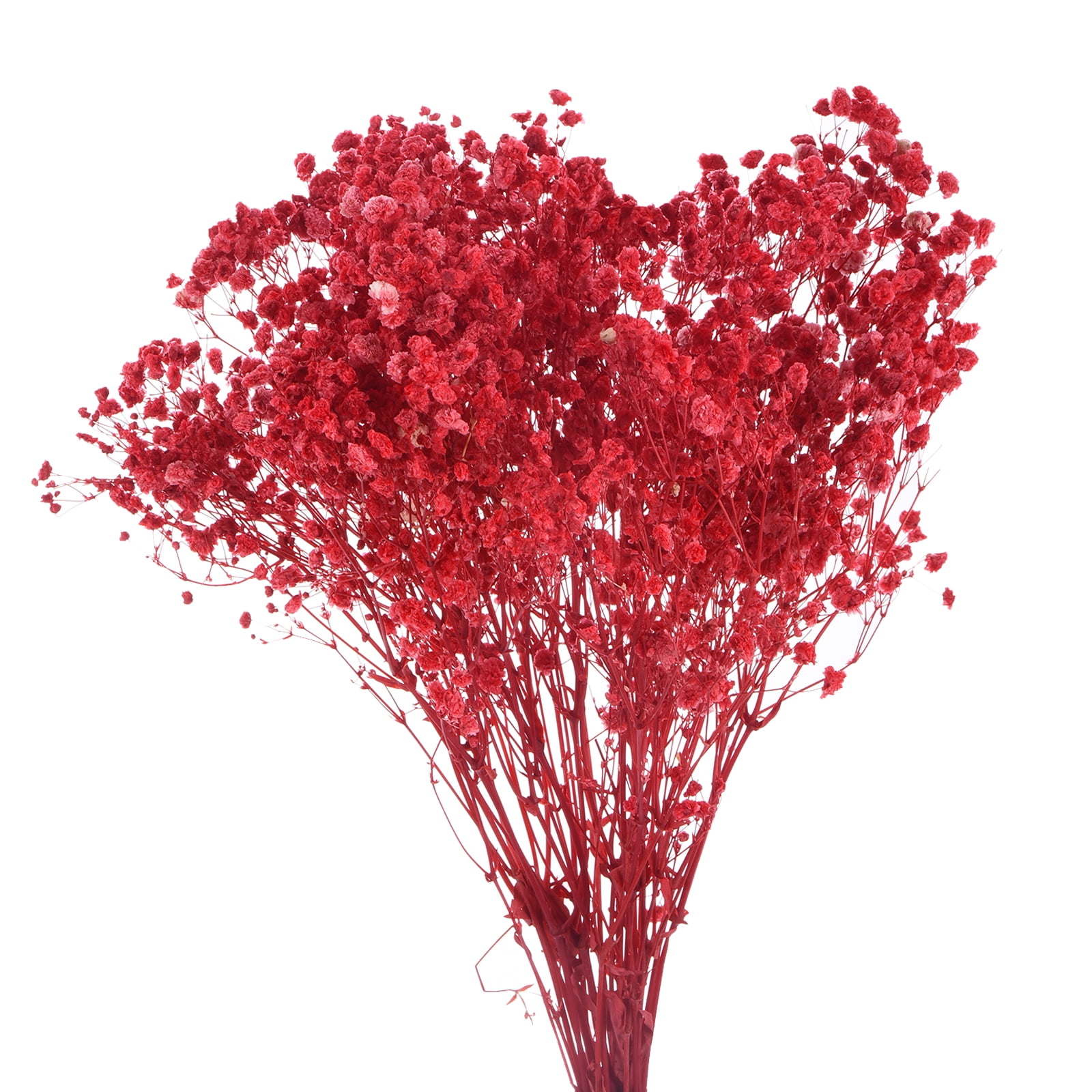Uxcell Dried Baby's Breath Flowers 17 Inch Gypsophila Red Natural Baby's Breath Branches for Wedding Party Home Decoration 3 Pcs
