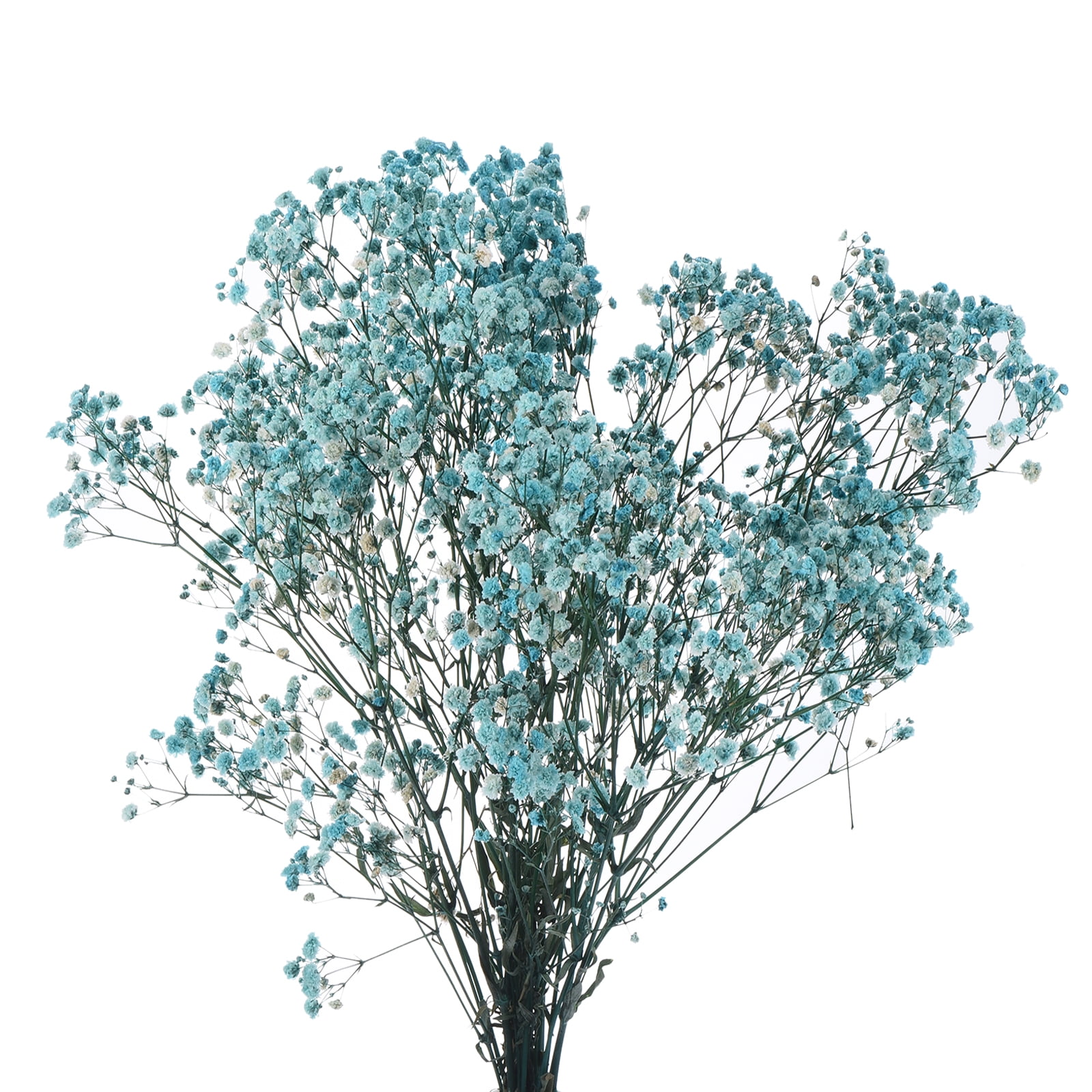 Uxcell Dried Baby's Breath Flowers 17 Inch Gypsophila Sky Blue Natural Baby's Breath Branches for Wedding Party Home Decoration 3 Pcs