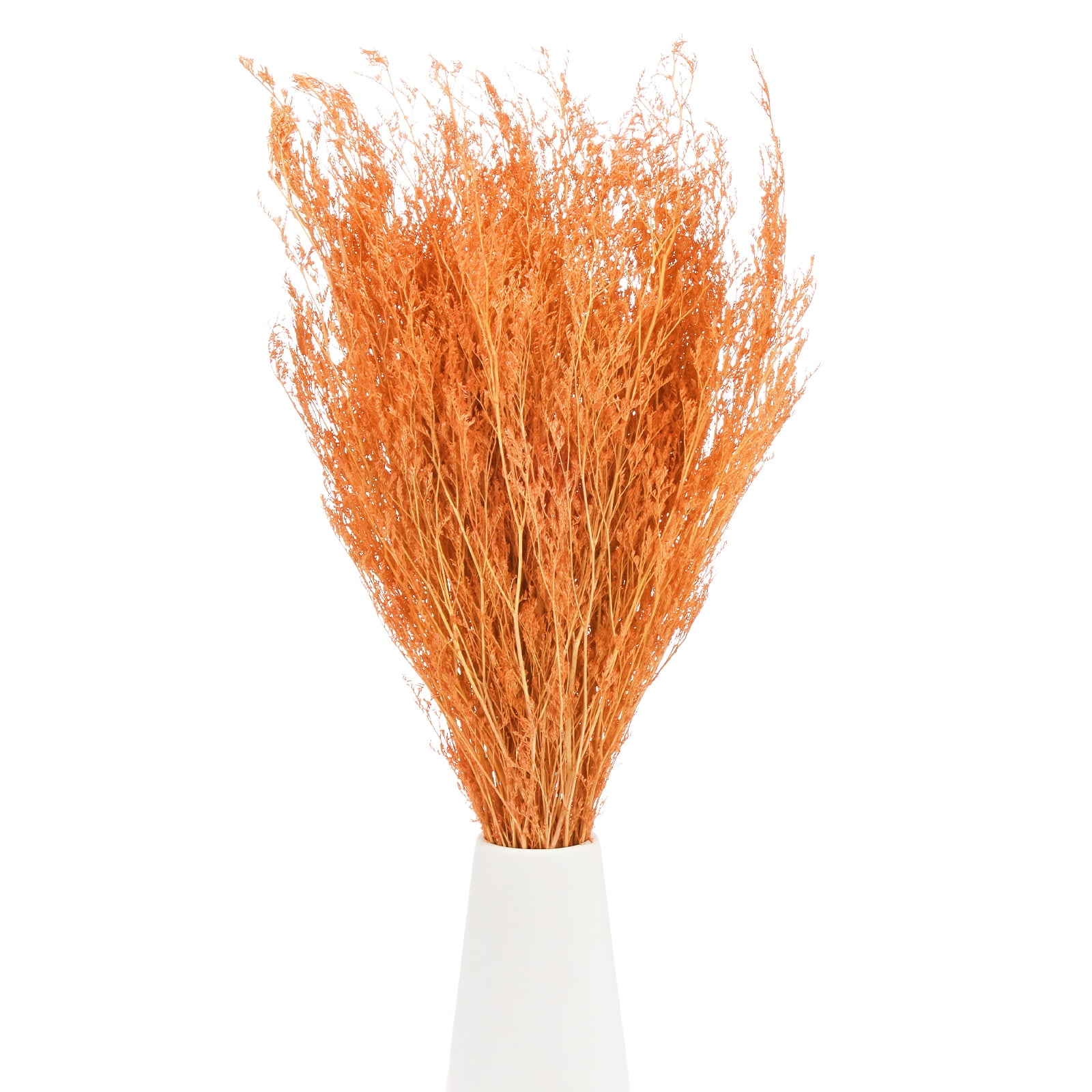 Uxcell Dried Flowers Bouquet 17" Dry Limonium Flower Bundle [Orange, 120g]