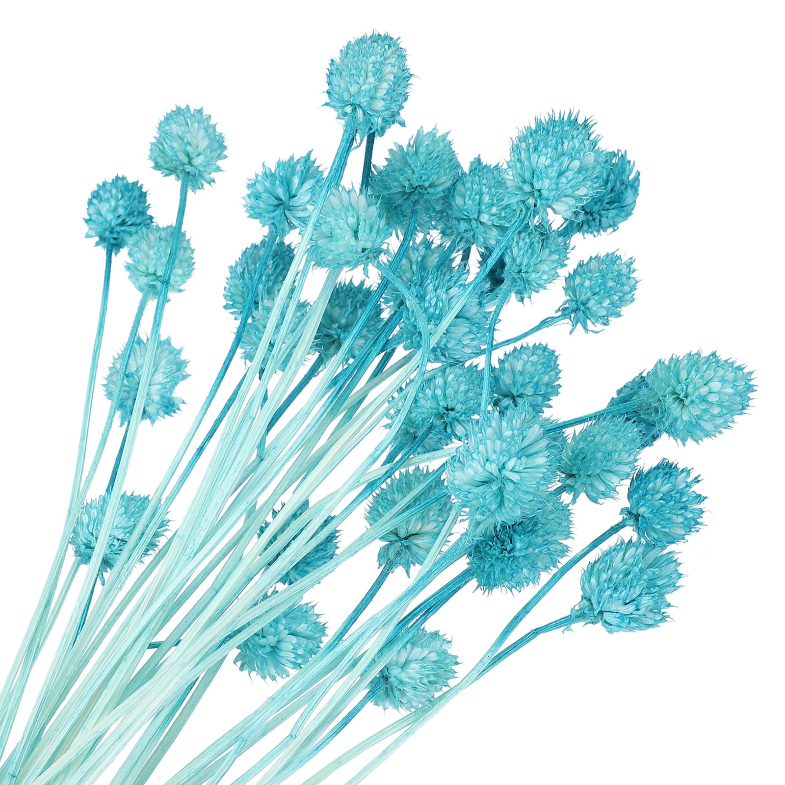 Uxcell Dried Flowers for Vase, Mini Pine Ball Flowers Natural Bouquet Bulk Fall Dried Pine Ball Naturally for Home Wedding Blue