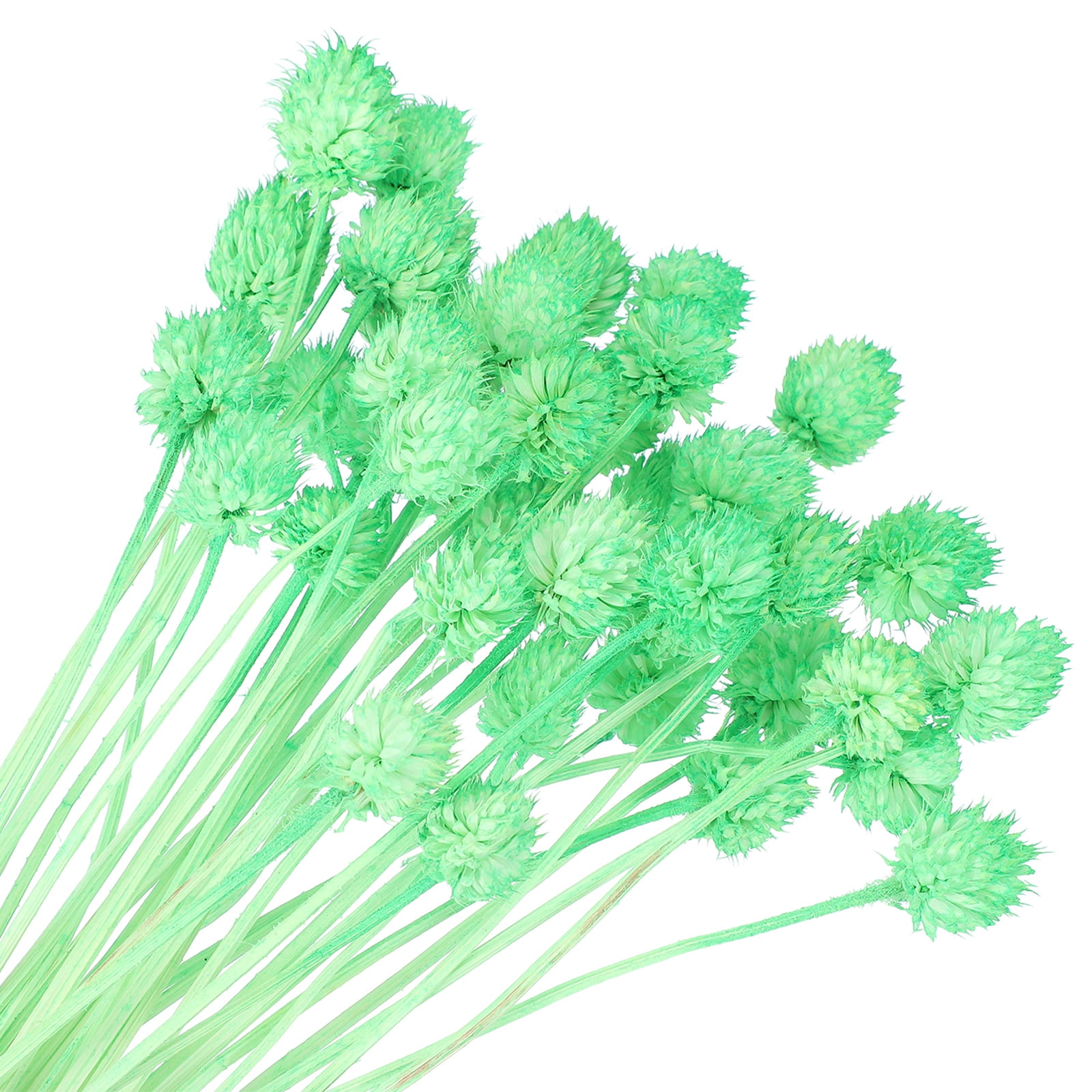 Uxcell Dried Flowers for Vase, Mini Pine Ball Flowers Natural Bouquet Bulk Fall Dried Pine Ball Naturally for Home Wedding Green