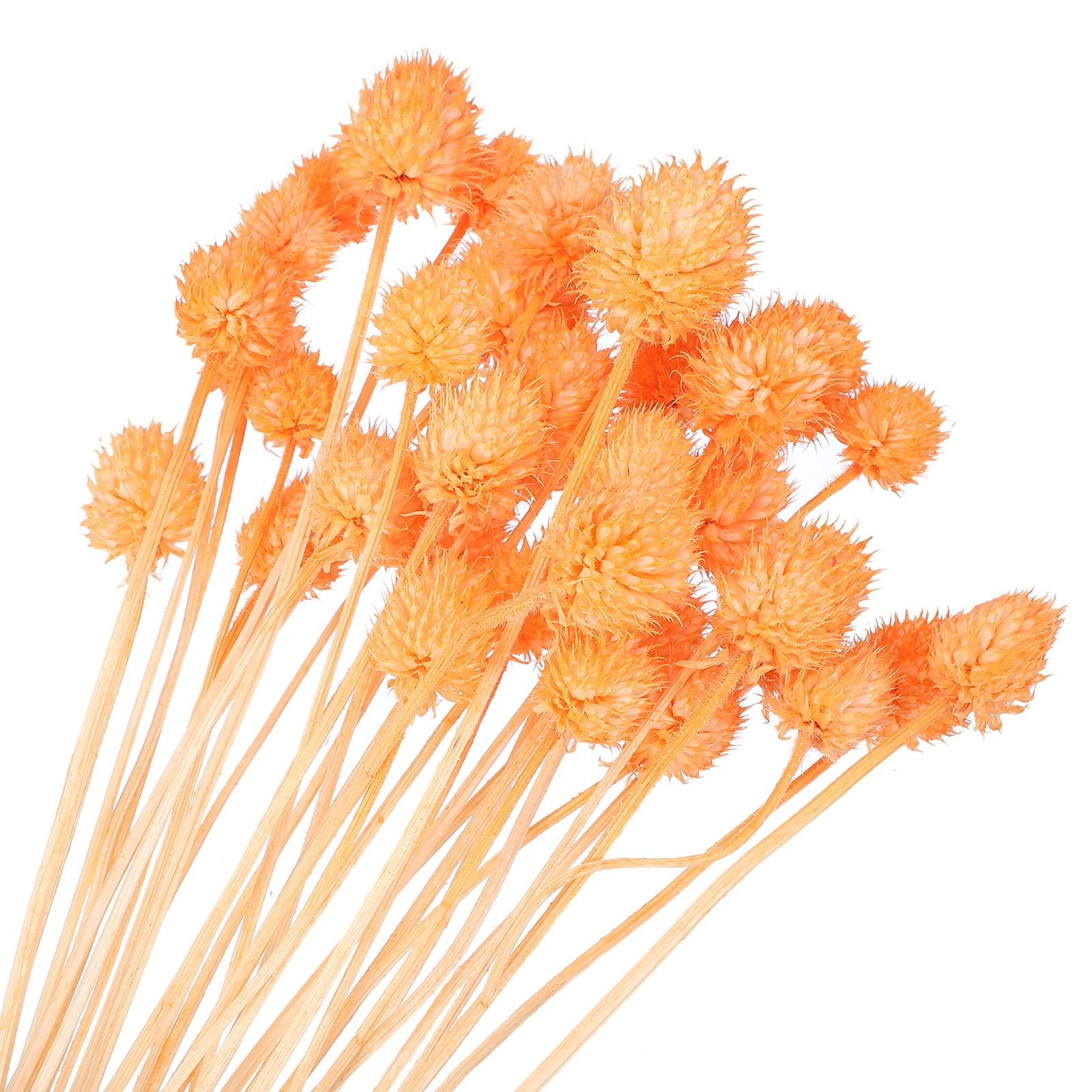 Uxcell Dried Flowers for Vase, Mini Pine Ball Flowers Natural Bouquet Bulk Fall Dried Pine Ball Naturally for Home Wedding Orange