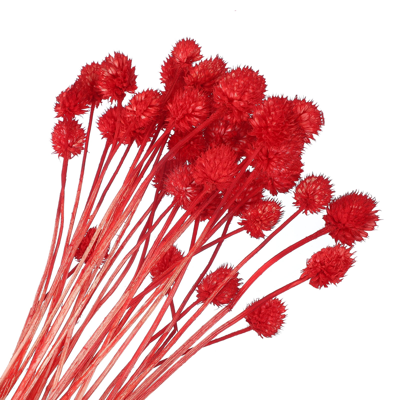Uxcell Dried Flowers for Vase, Mini Pine Ball Flowers Natural Bouquet Bulk Fall Dried Pine Ball Naturally for Home Wedding Red