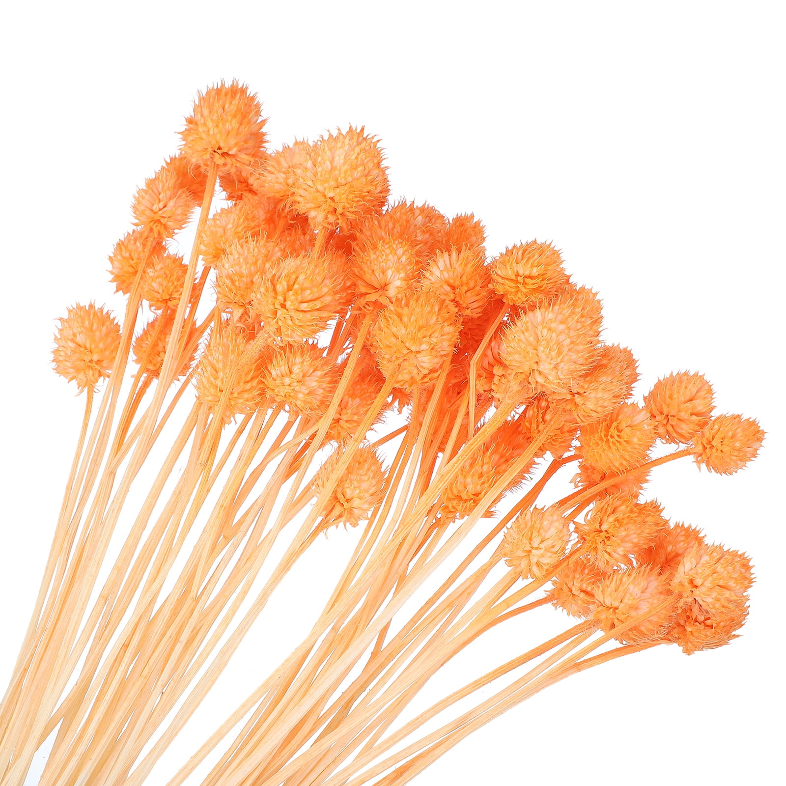 Uxcell Dried Flowers for Vase, Mini Pine Ball Flowers Natural Bouquet Orange