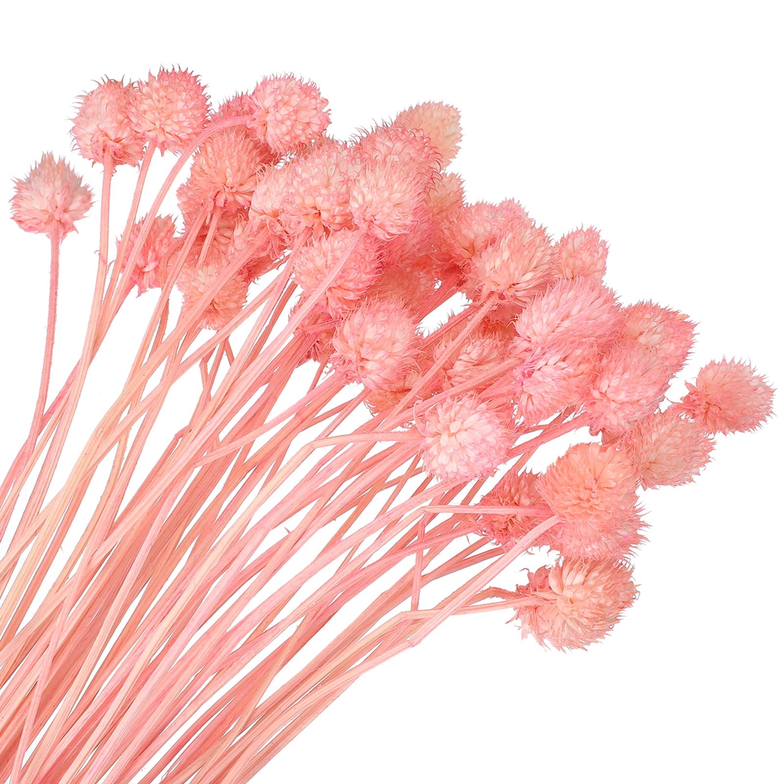 Uxcell Dried Flowers for Vase, Mini Pine Ball Flowers Natural Bouquet Pink
