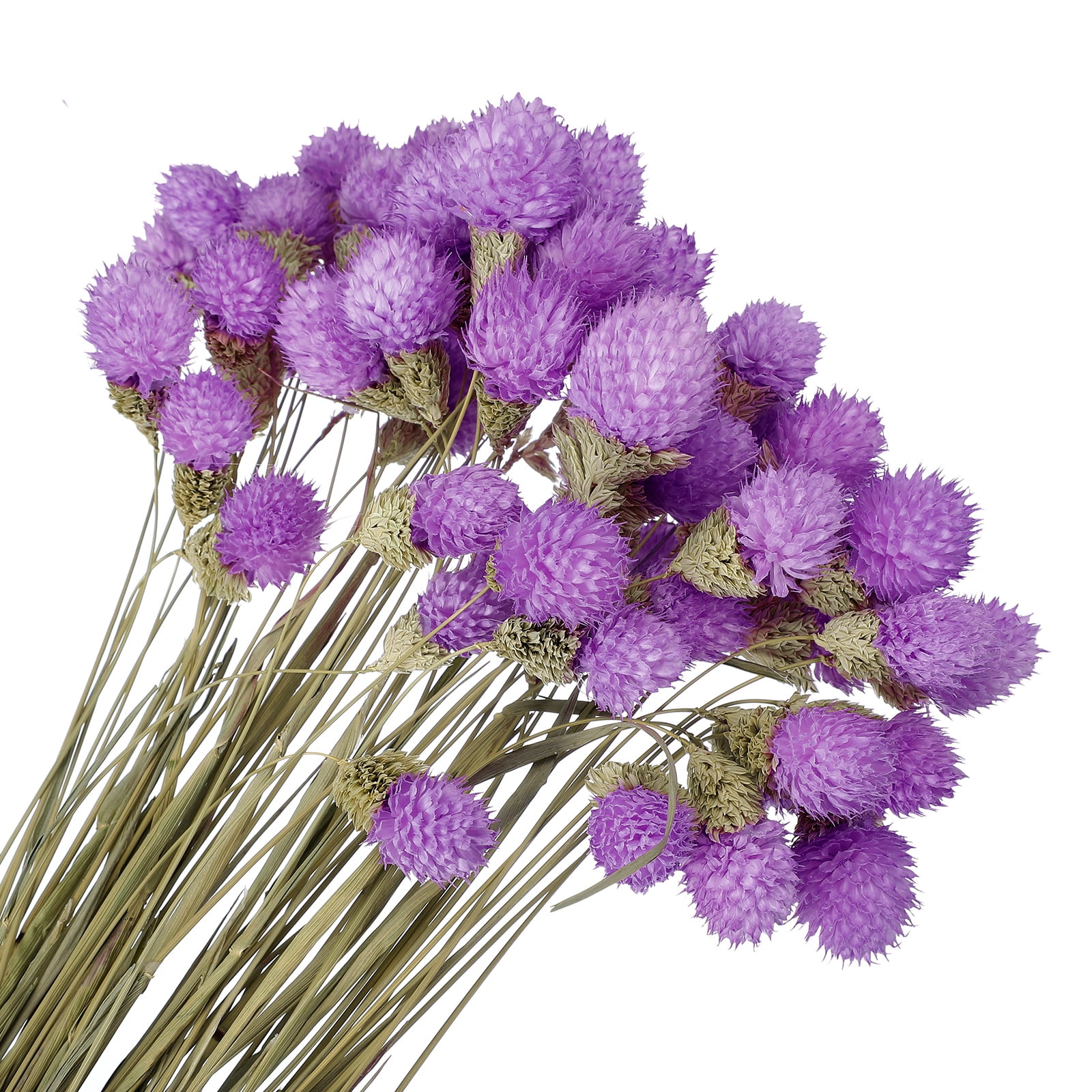 Uxcell Dried Flowers for Vase, Mini Pine Ball Flowers Natural Bouquet Purple